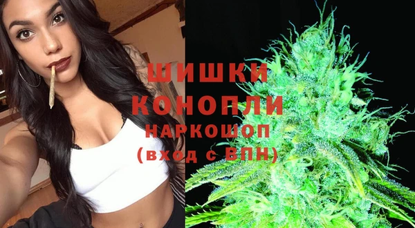 шишки Алексеевка
