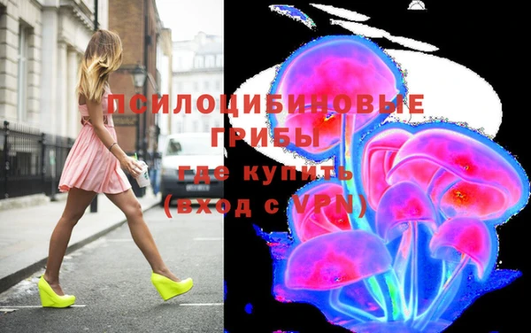 шишки Алексеевка