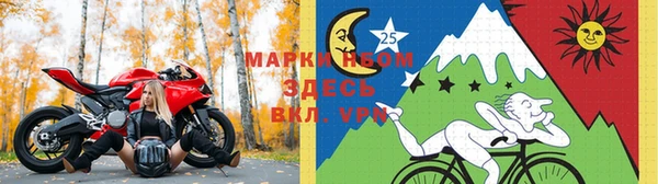 шишки Алексеевка