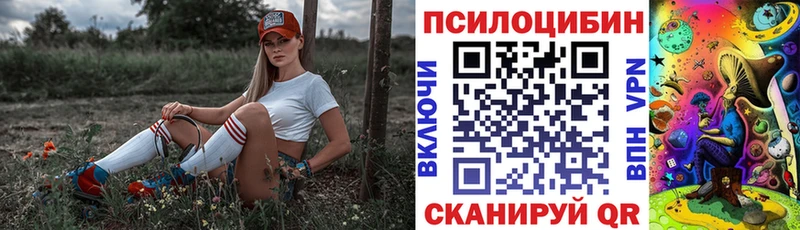 где можно купить наркотик  Пыталово  Галлюциногенные грибы Psilocybine cubensis 